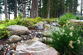 Camano Island Contemporary– Natural Rain Garden with River Rock and Boulders