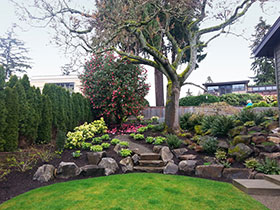 Medina Mid-century -- Boulder retaining wall and planting hillside