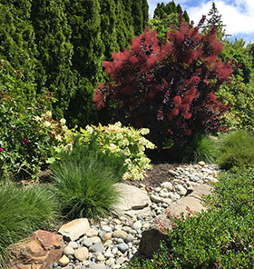 Ferguson Residence - Aesethic solution for a needed bioswale.