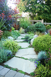 Colorful planting and a stone pathway lead the eye down the through this garden. Colorful planting and a stone pathway lead the eye down the through this garden.