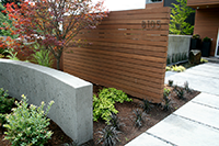 NW Nurseries owner Laura helped me select the ‘Yezo Nashiki’ Acer in place of a more typical ‘Bloodgood’. The owner loves this tree! The Bernard Trainor inspired concrete wall is seen in the foreground. NW Nurseries owner Laura helped me select the ‘Yezo Nashiki’ Acer in place of a more typical ‘Bloodgood’. The owner loves this tree! The Bernard Trainor inspired concrete wall is seen in the foreground.