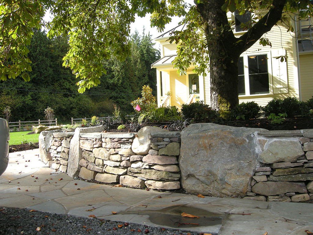 Stone tree well for Aesculus
