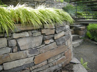 Hakonechloa m. 'Aureola' spills over the freshly built stone walls Hakonechloa m. 'Aureola' spills over the freshly built stone walls